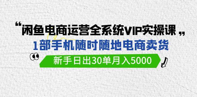 (9547期)闲鱼电商运营全系统VIP实战课，1部手机随时随地卖货，新手日出30单月入5000-博库