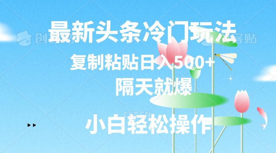 最新头条冷门玩法，隔天就爆，复制粘贴日入500+-博库