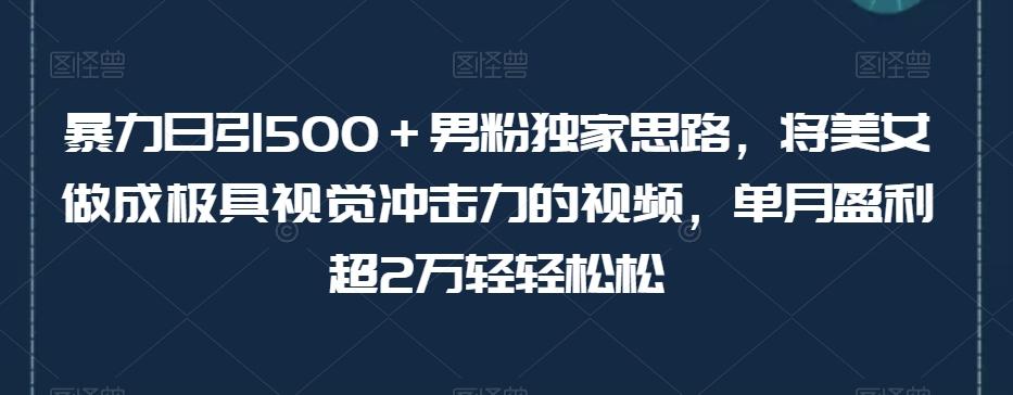 暴力日引500＋男粉独家思路，将美女做成极具视觉冲击力的视频，单月盈利超2万轻轻松松-博库