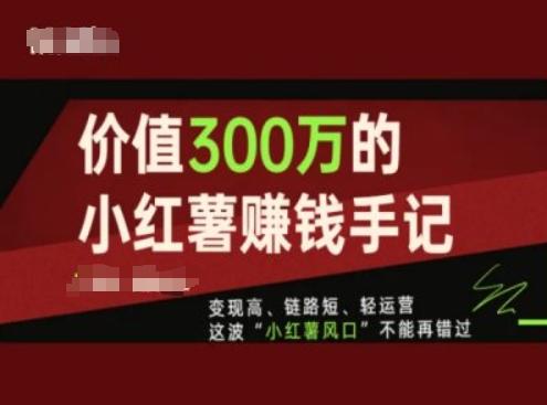 价值300万的小红书赚钱手记，变现高、链路短、轻运营，这波“小红薯风口”不能再错过-博库