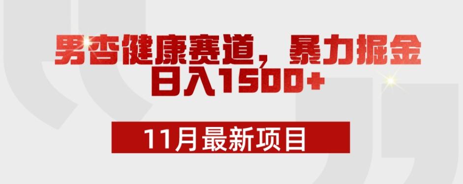 11月最新项目，男杏健康赛道，暴力掘金，日入1500+-博库