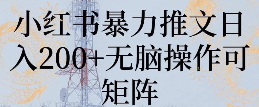 小红书暴力推文日入200+无脑操作可矩阵【揭秘】-博库