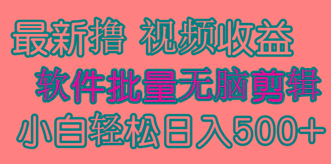 (9569期)发视频撸收益，软件无脑批量剪辑，第一天发第二天就有钱-博库