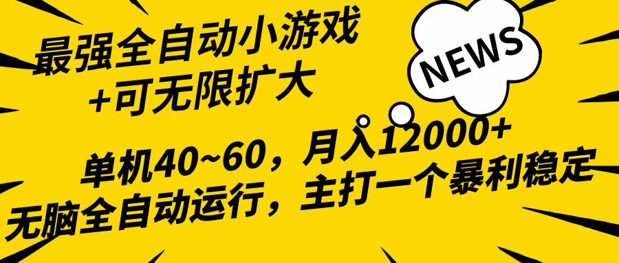 (10046期)2024最新全网独家小游戏全自动，单机40~60,稳定躺赚，小白都能月入过万-博库