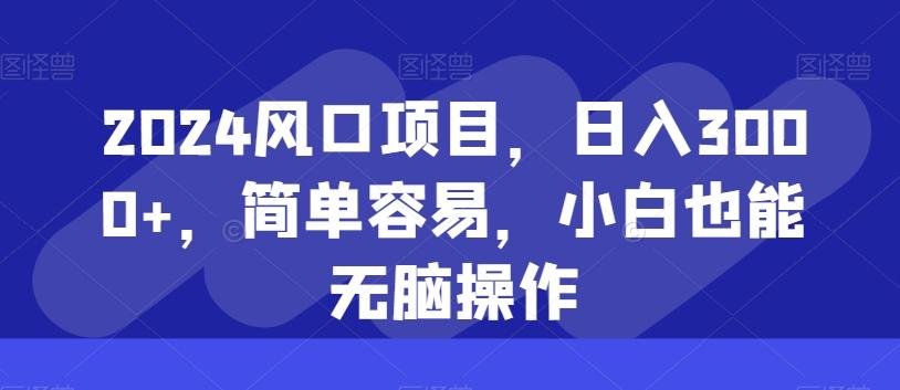 2024风口项目，日入3000+，简单容易，小白也能无脑操作-博库