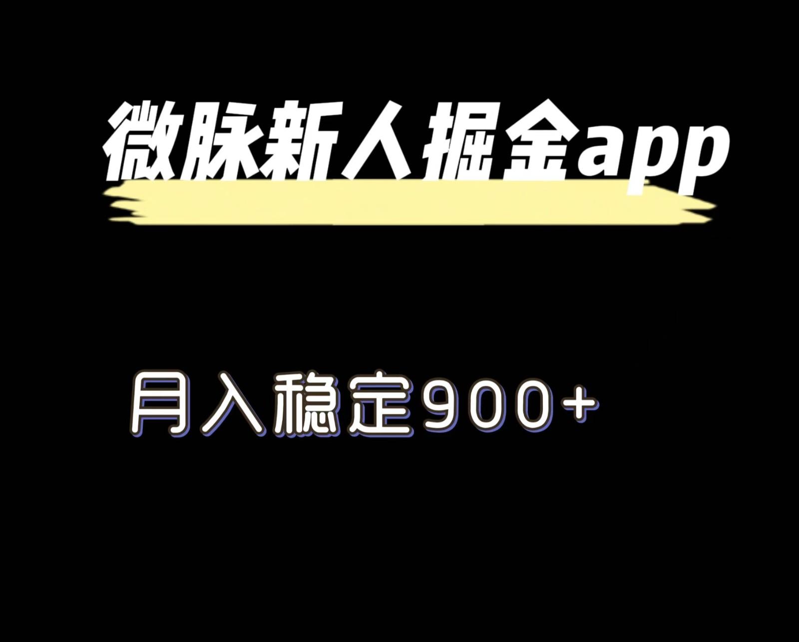 最新微脉长久项目，拉新掘金，月入稳定900+-博库