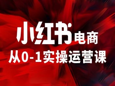 小红书电商从0-1实操运营课，让你从小白到精英-博库