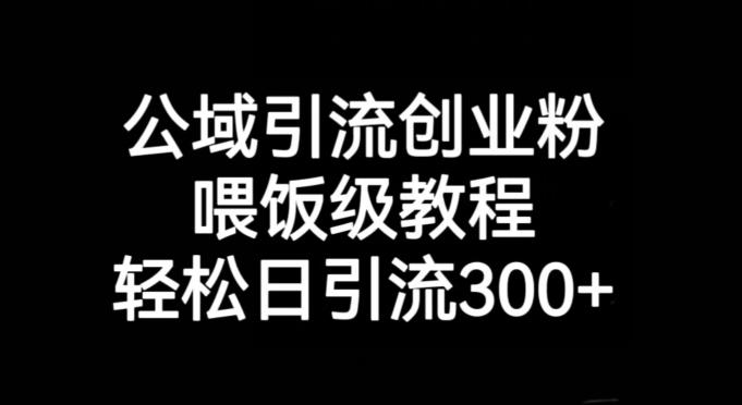 公域引流创业粉，喂饭级教程，轻松日引流300+【揭秘】-博库