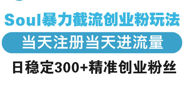 Soul暴力截流创业粉玩法，当天注册当天进流量，日稳定300+精准创业粉丝-博库