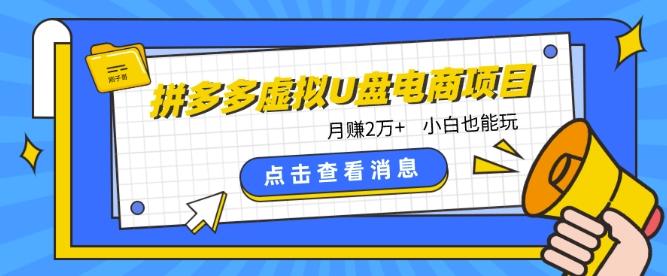 拼多多虚拟U盘电商红利项目：月赚2万+，新手小白也能玩-博库