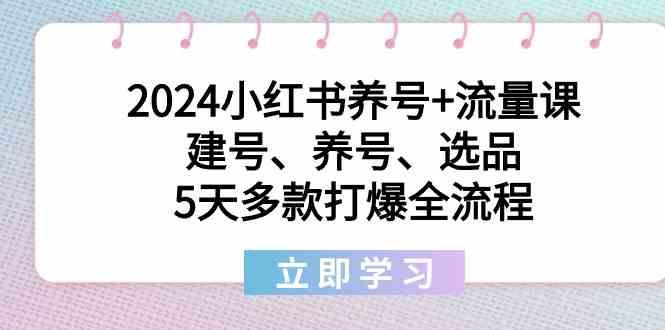 2024小红书养号+流量课：建号、养号、选品，5天多款打爆全流程-博库