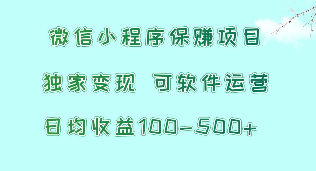 微信小程序保赚项目，日均收益100~500+，独家变现，可软件运营-博库