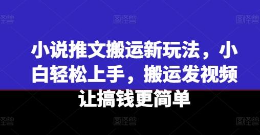 小说推文搬运新玩法，小白轻松上手，搬运发视频让搞钱更简单-博库