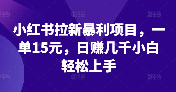 小红书拉新暴利项目，一单15元，日赚几千小白轻松上手【揭秘】-博库