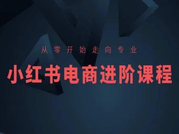 从零开始走向专业，小红书电商进阶课程-博库