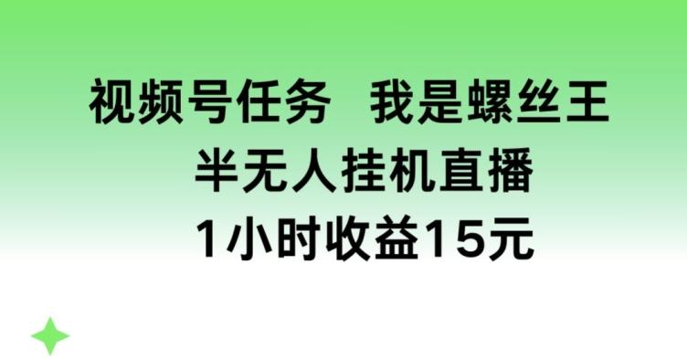 视频号任务，我是螺丝王， 半无人挂机1小时收益15元【揭秘】-博库