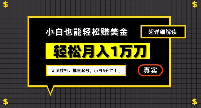 谷歌看广告撸美金2.0，无脑挂机，多号操作，月入1万刀【揭秘】-博库