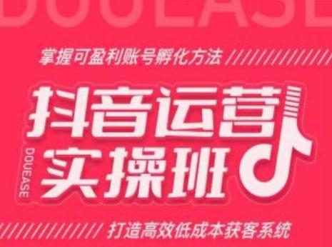 抖音运营实操班，掌握可盈利账号孵化方法，打造高效低成本获客系统-博库