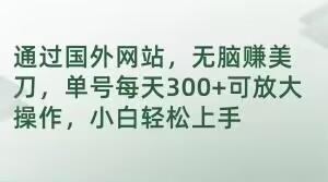 通过国外网站，无脑赚美刀，单号每天300+可放大操作，小白轻松上手【揭秘】-博库