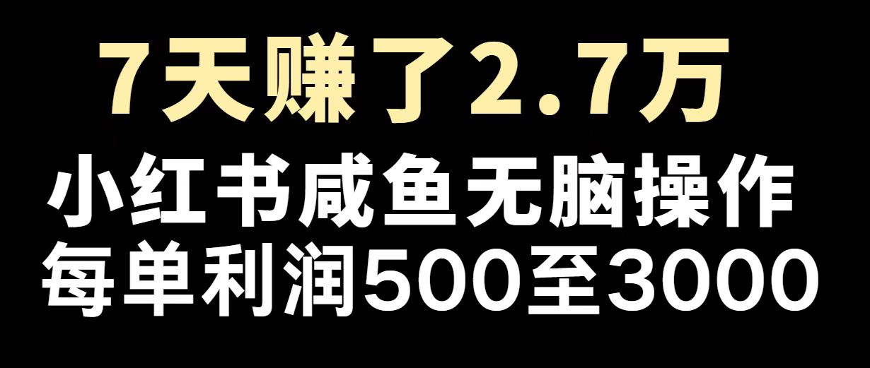 最赚钱项目之一，2025爆火，逆风翻盘！-博库