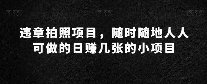 违章拍照项目，随时随地人人可做的日赚几张的小项目-博库