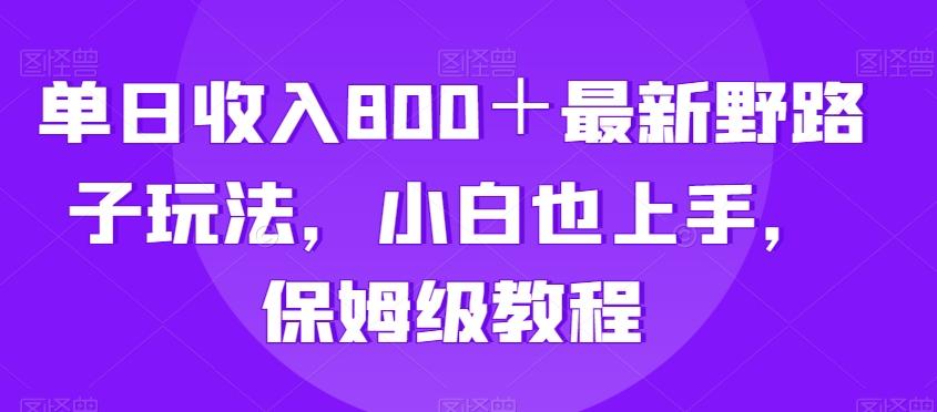 单日收入800＋最新野路子玩法，小白也上手，保姆级教程-博库