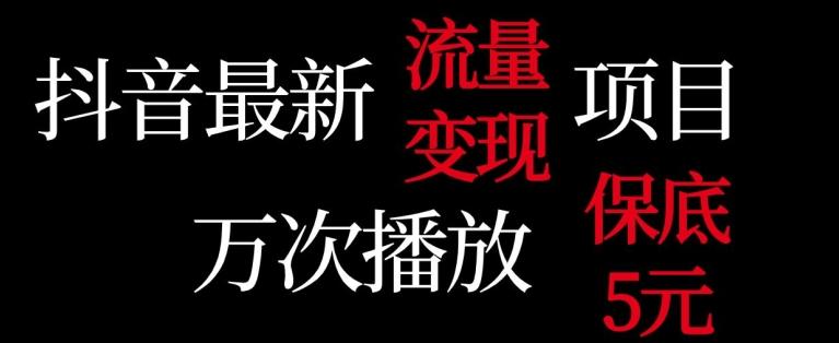 抖音流量变现，万次播放保底5元，额外收入-博库