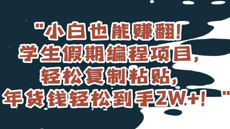 小白也能赚翻！学生假期编程项目，轻松复制粘贴，年货钱轻松到手2W+【揭秘】-博库