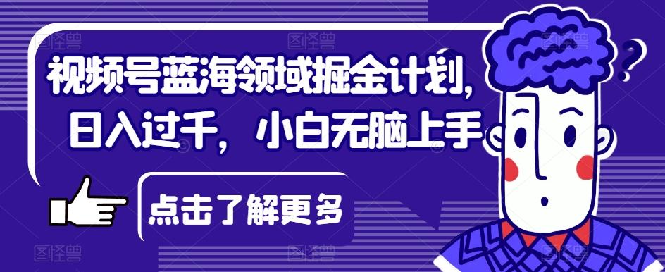 视频号蓝海领域掘金计划，日入过千，小白无脑上手【揭秘】-博库