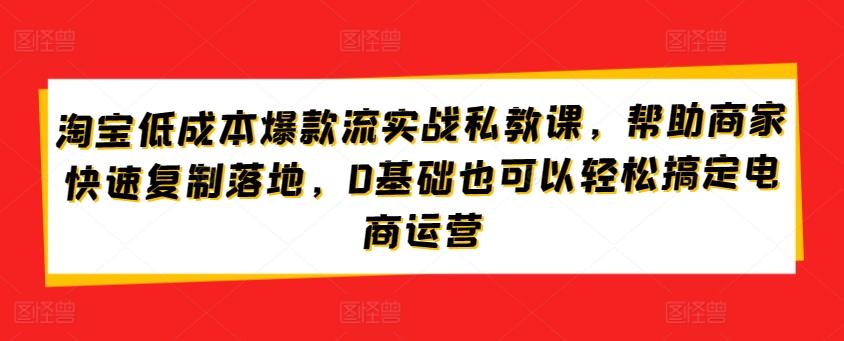 淘宝低成本爆款流实战私教课，帮助商家快速复制落地，0基础也可以轻松搞定电商运营-博库