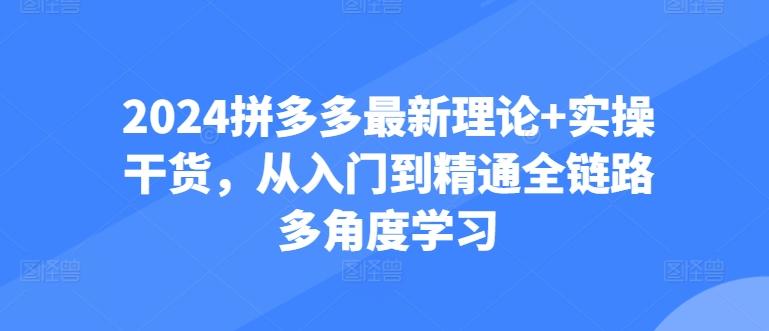 2024拼多多最新理论+实操干货，从入门到精通全链路多角度学习-博库