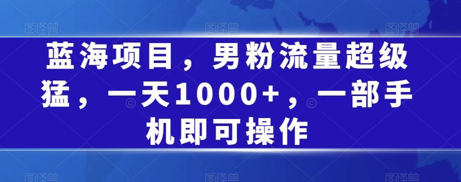 蓝海项目，男粉流量超级猛，一天1000+，一部手机即可操作【揭秘】-博库