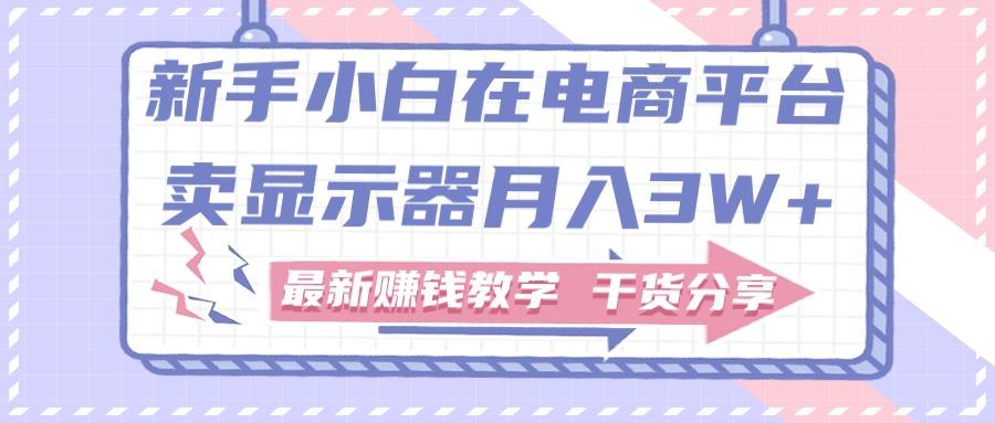 新手小白如何做到在电商平台卖显示器月入3W+，最新赚钱教学干货分享-博库