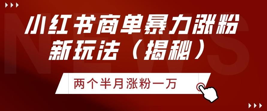 小红书商单暴力涨粉新玩法两个半月涨粉一万（揭秘）-博库