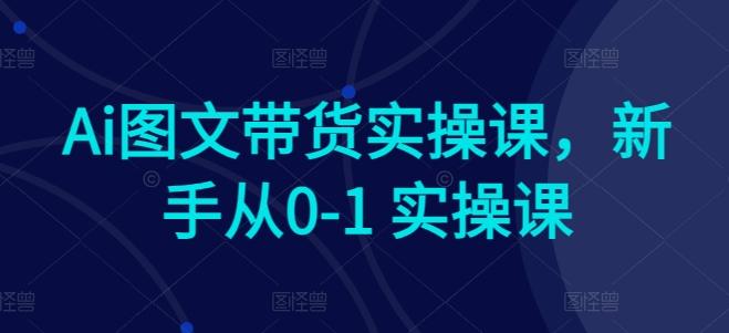 Ai图文带货实操课，新手从0-1 实操课-博库