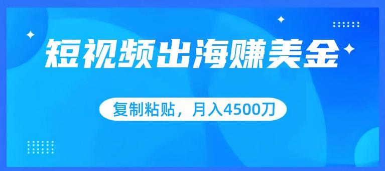 短视频出海赚美金，复制粘贴批量操作，小白轻松掌握，月入4500美刀【揭秘】-博库