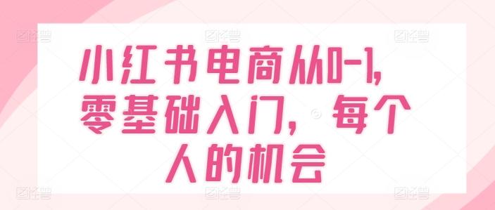 小红书电商从0-1，零基础入门，每个人的机会-博库