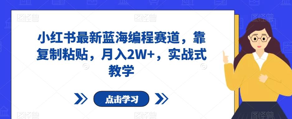 小红书最新蓝海编程赛道，靠复制粘贴，月入2W+，实战式教学【揭秘】-博库