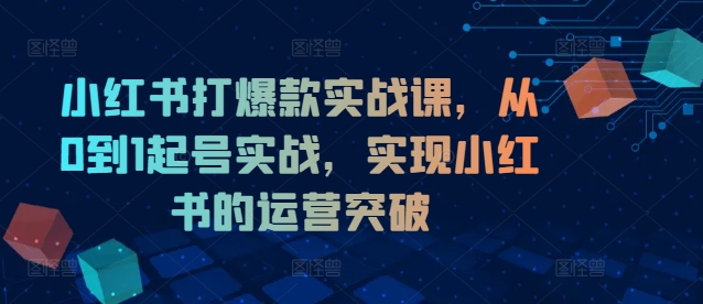 小红书打爆款实战课，从0到1起号实战，实现小红书的运营突破-博库