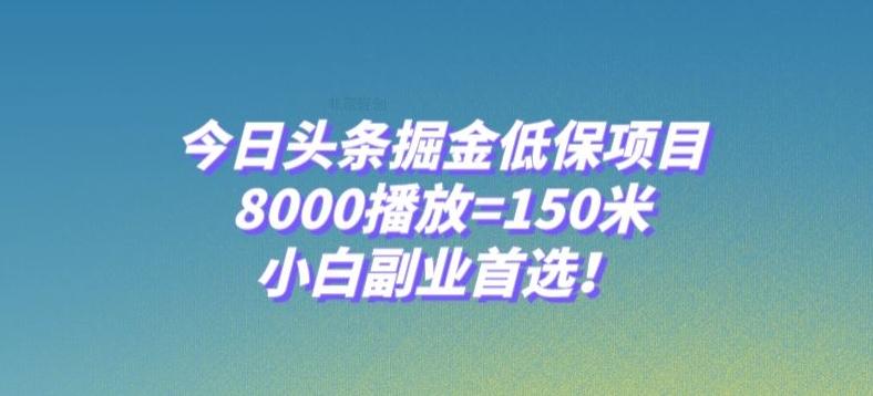 今日头条掘金低保项目，8000播放=150米，小白副业首选【揭秘】-博库