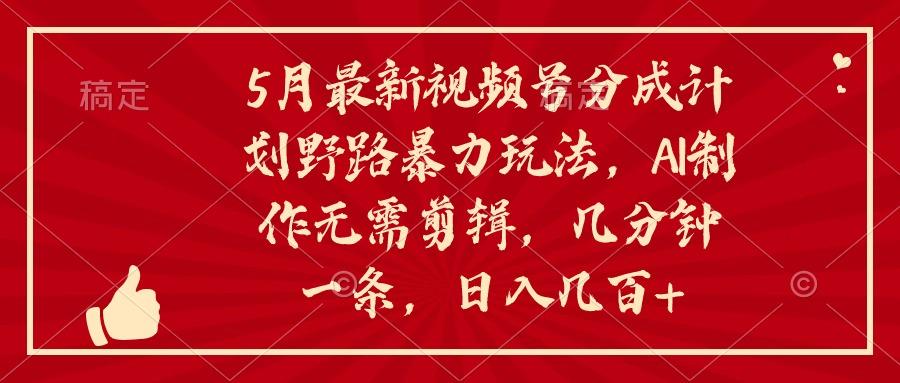 5月最新视频号分成计划野路暴力玩法，ai制作，无需剪辑。几分钟一条，…-博库