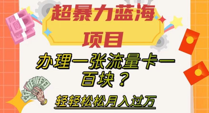 超暴力蓝海项目，办理一张流量卡一百块？轻轻松松月入过万，保姆级教程【揭秘】-博库