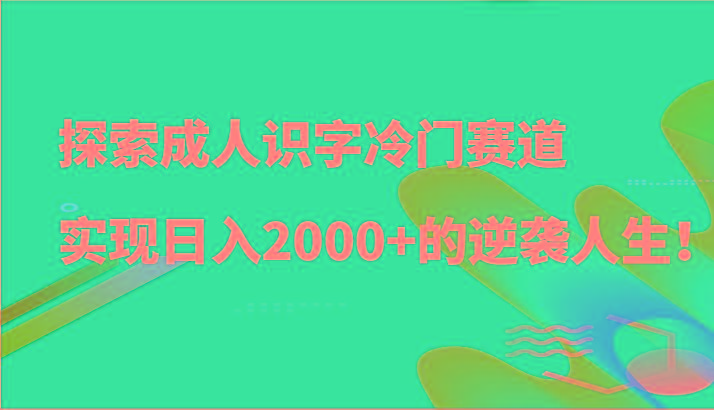 探索成人识字冷门赛道，实现日入2000+的逆袭人生！-博库