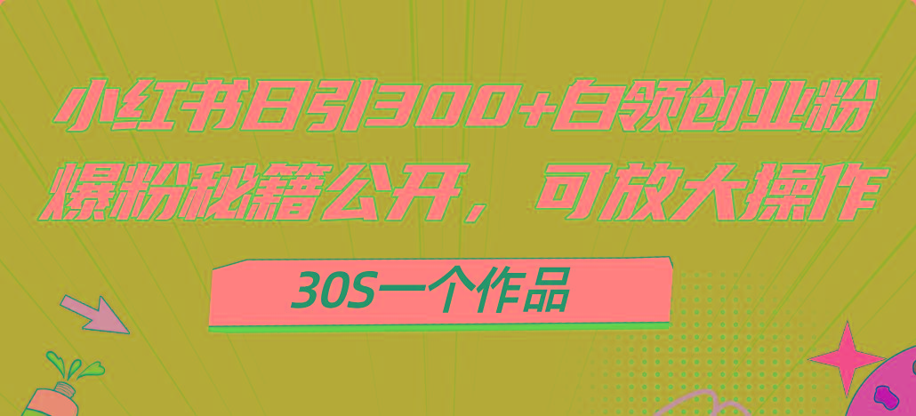 小红书日引300+高质白领创业粉，可放大操作，爆粉秘籍！30s一个作品-博库