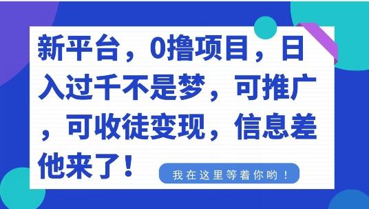 不要再花冤枉钱了，0撸项目，每天坚持，稳定1000+-博库