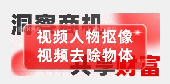 【超强视频处理工具】视频人物抠像+视频去除物体-博库