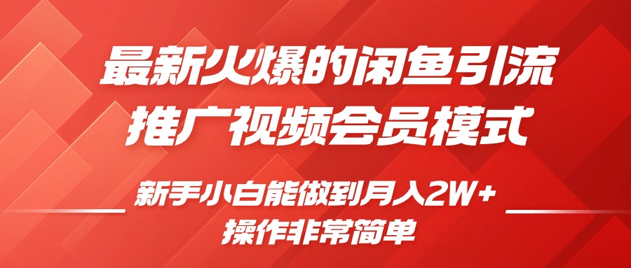 闲鱼引流推广影视会员，0成本就可以操作，新手小白月入过W+【揭秘】-博库