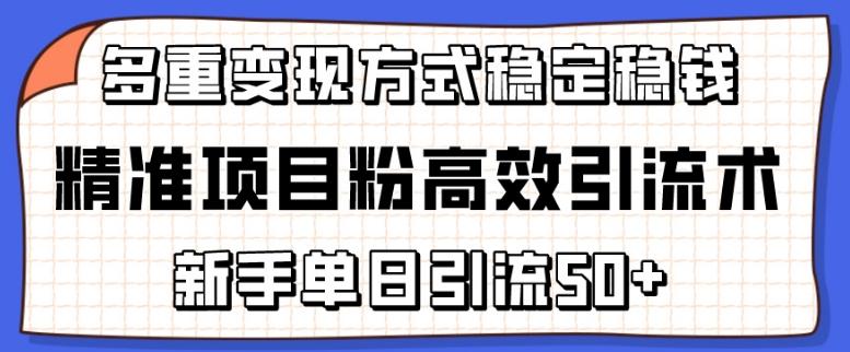 精准项目粉高效引流术，新手单日引流50+，多重变现方式稳定赚钱【揭秘】-博库