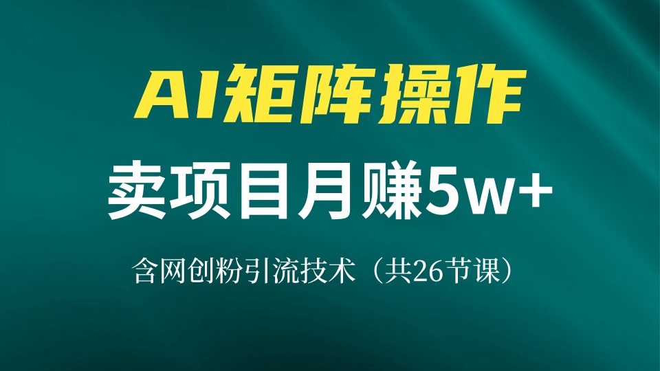 网创IP打造课，借助AI卖项目月赚5万+，含引流技术(共26节课-博库