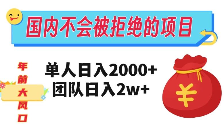 在国内不怕被拒绝的项目，单人日入2000，团队日入20000+【揭秘】-博库